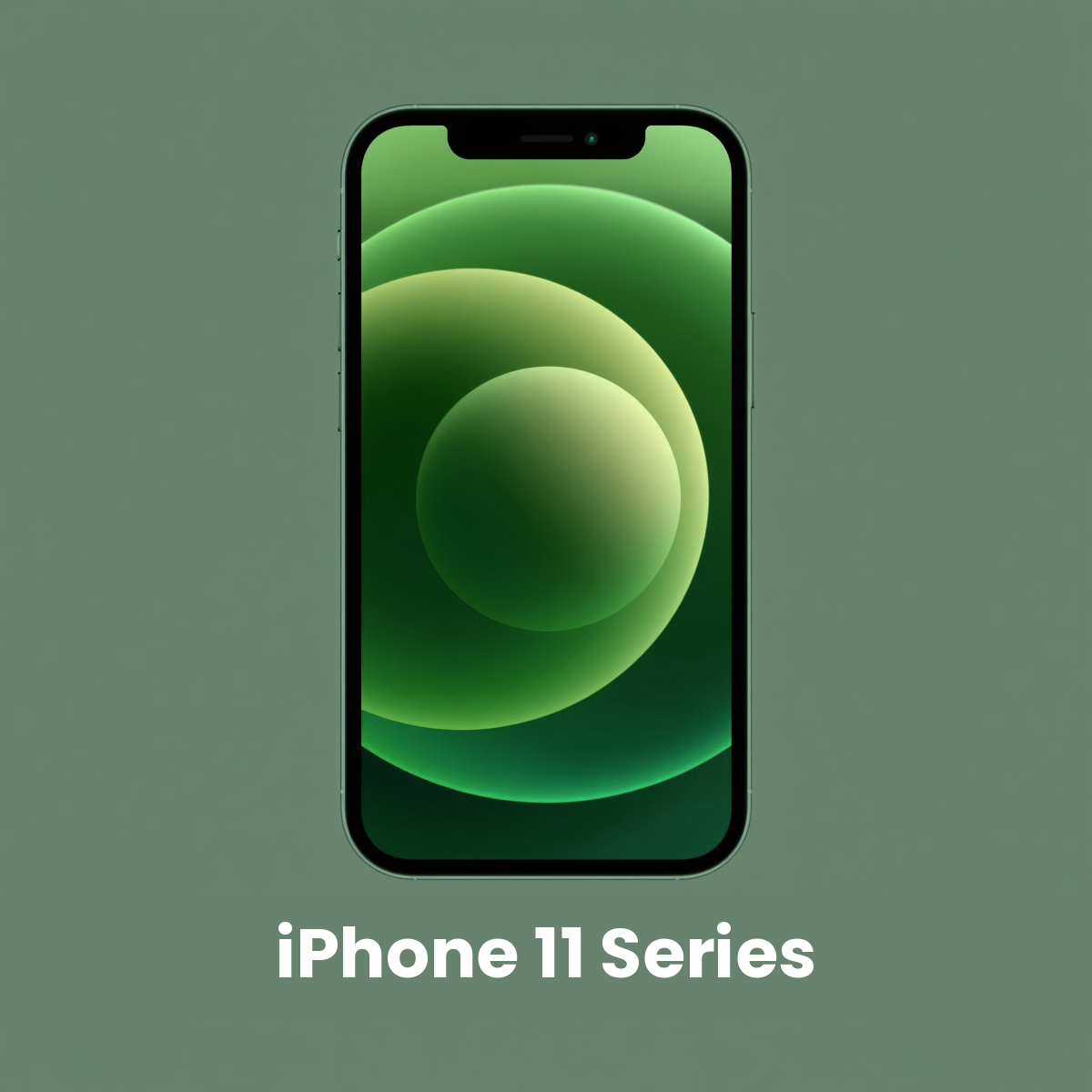 iPhone 11 Series