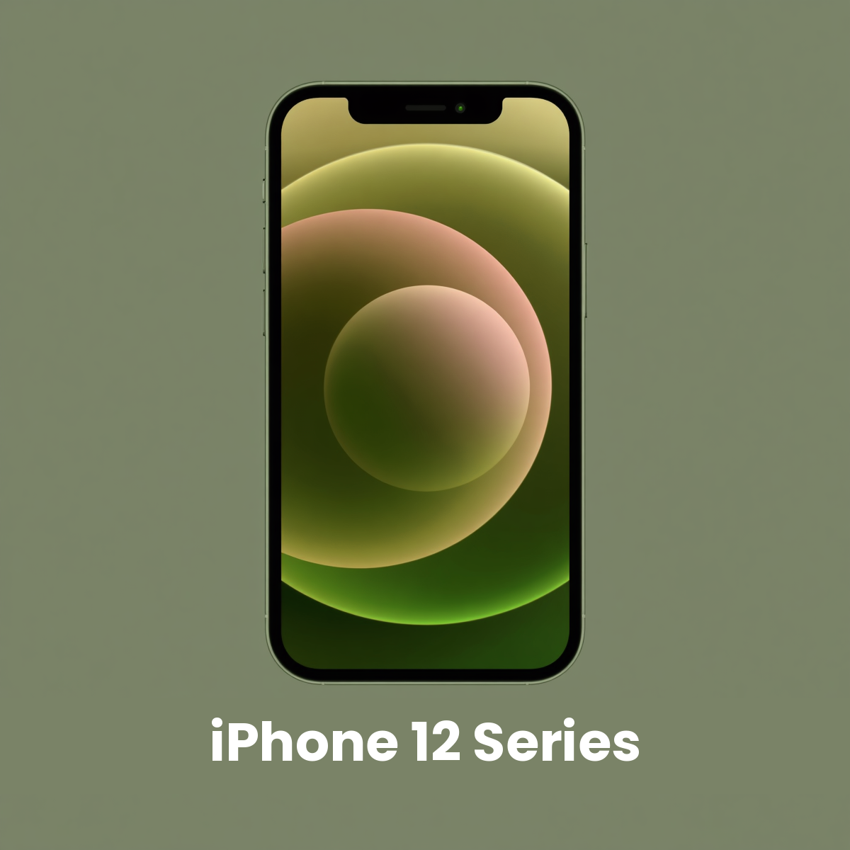 iPhone 12 Series